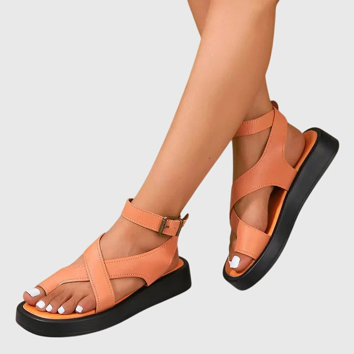 #Color_Naranja