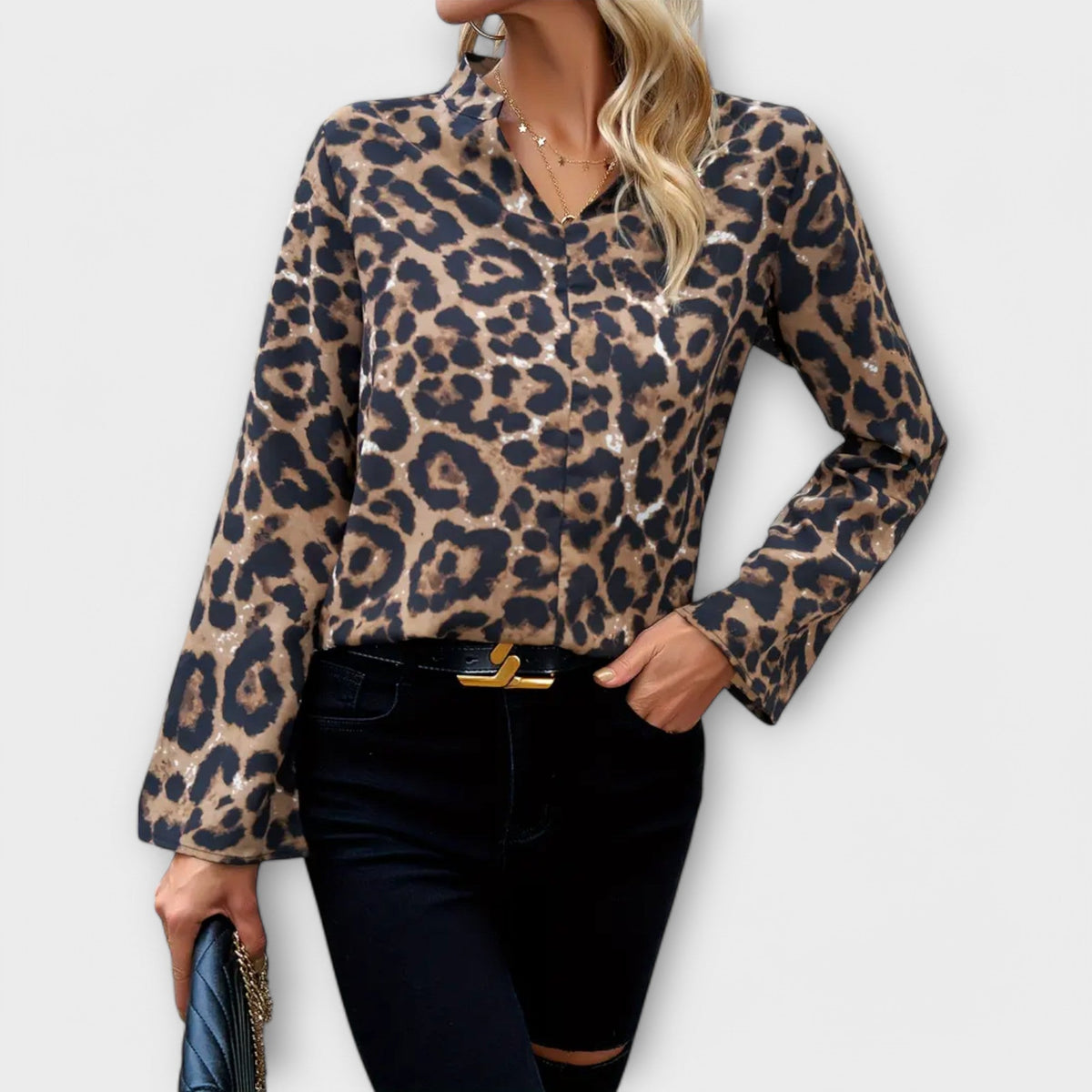 Animal Print V-Neck Blouse